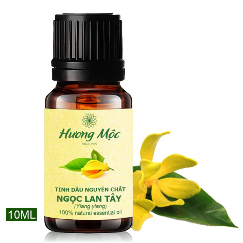 Tinh dầu Ngọc Lan Tây 10ML | Ylang Ylang Essential Oil 10ML - Chất lượng cao - Có kiểm định