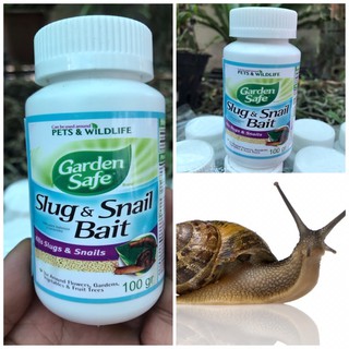 bả ốc sên slug & snail bait 100g