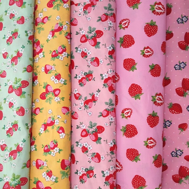VẢI THÔ KATE 🍓 V153