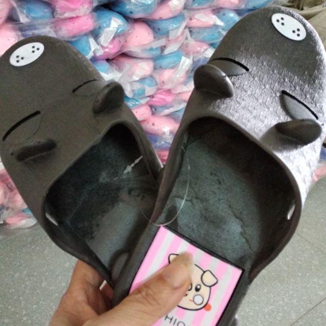 Combo 5 đôi sục chó chọn size