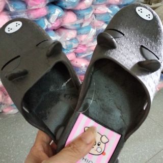Combo 5 đôi sục chó chọn size