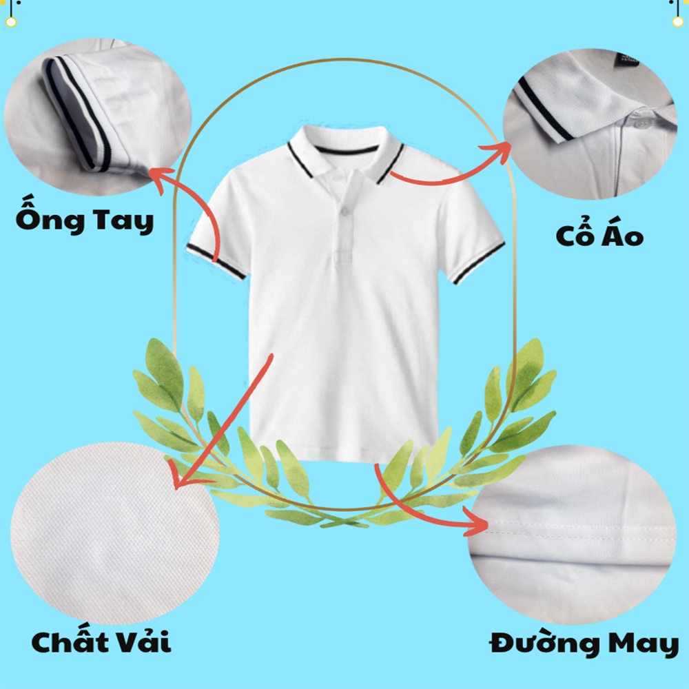 Áo thun nam POLO thiết kế sọc ngang vải cá sấu cotton cao cấp ngắn tay