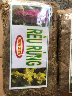 Rêu rừng NEWZITA