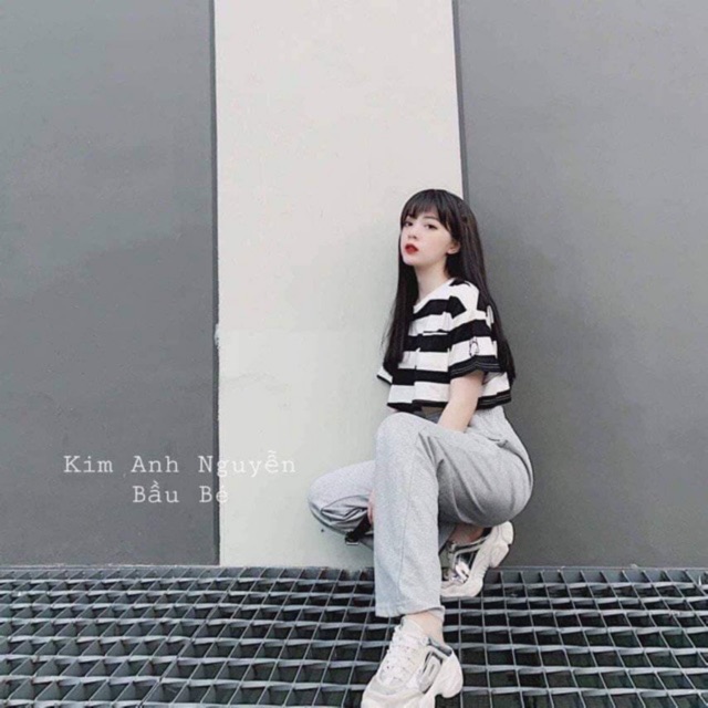 Sét crt kẻ + quần xuông xám ZXN876