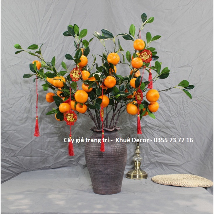 Cành Quýt giả - Vỏ sần - Hàng cao cấp