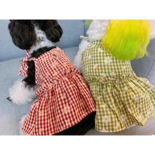 Váy 2 dây hoa cúc cho chó mèo (tặng kèm băng đô)