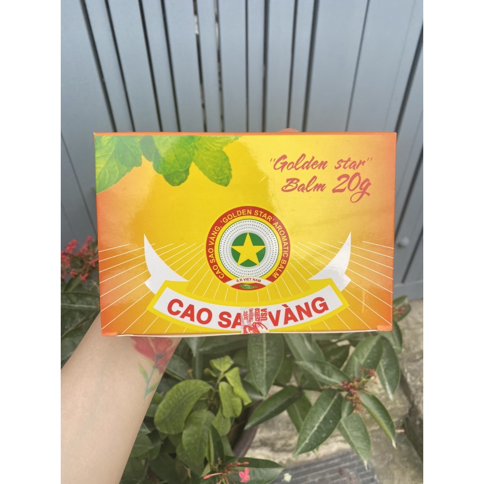 Cao sao vàng 20g Dược TW3 ( Dầu Cù Là ) - Golden star Balm