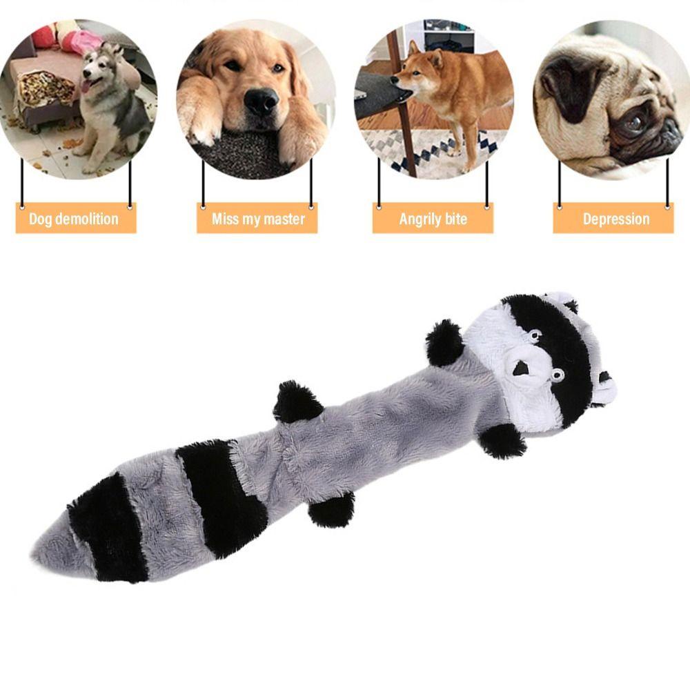 Đồ Chơi 24 Con Sóc Chuột Raccoon Tương Tác Với Thú Cưng