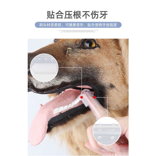 Bàn chải vệ sinh răng thú cưng