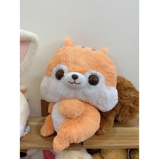 Sóc gấu bông