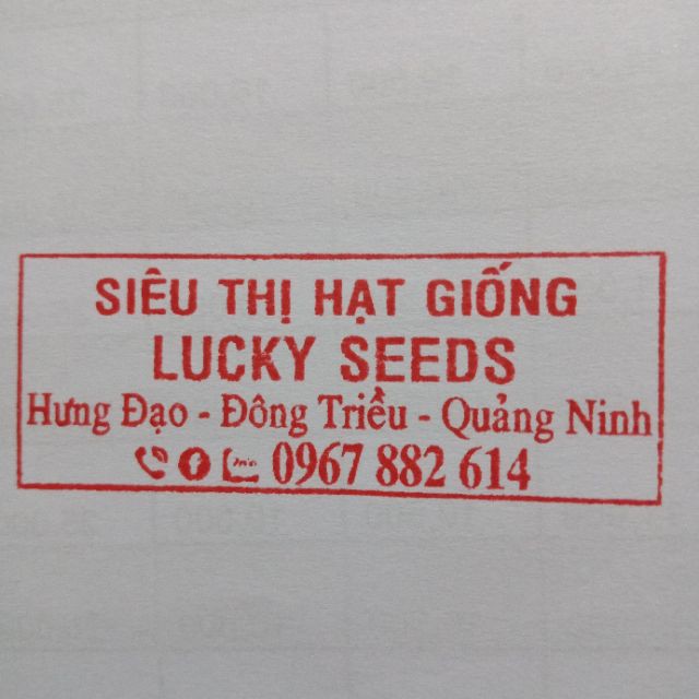 Cung Cấp HẠT GIỐNG HỒNG THÂN GỖ MIX LUCKY -20 hạt, tặng 10 viên nén hạt đẹp