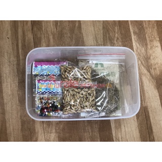 Hạt giống cỏ mèo