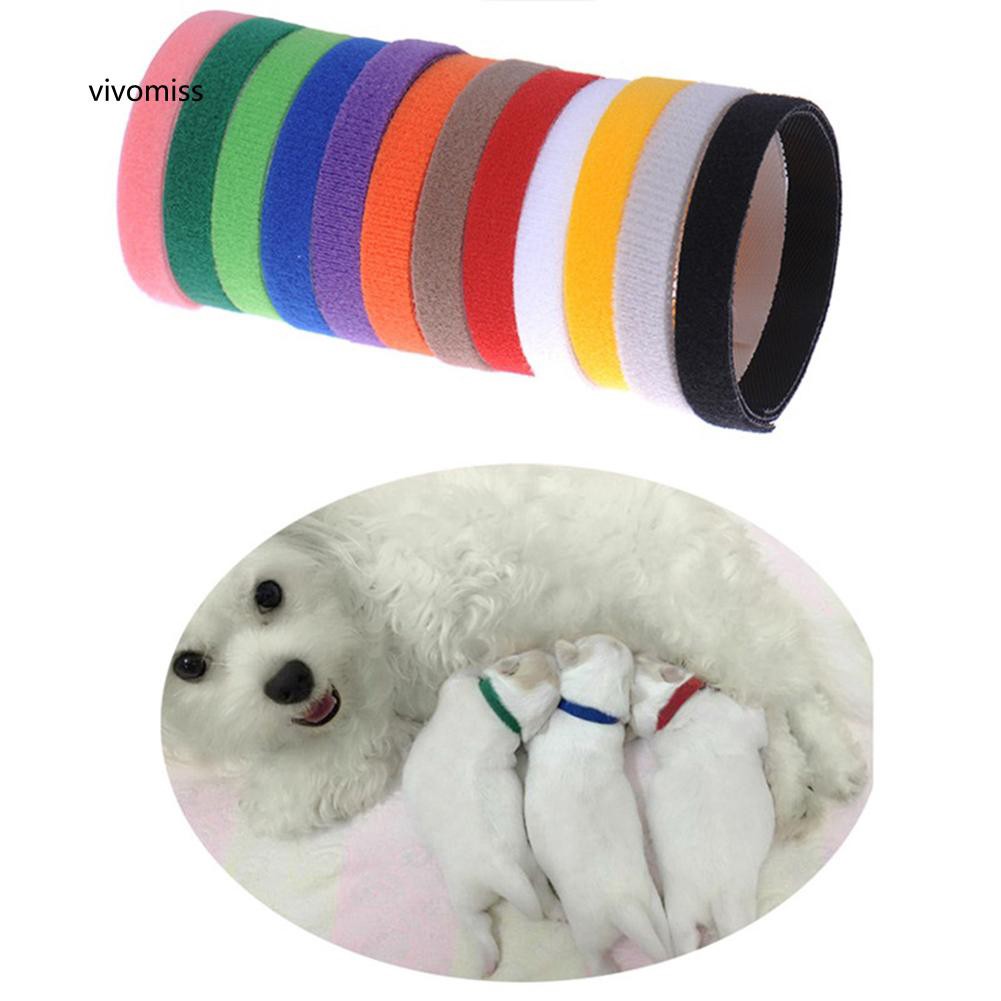 VVMS♥12Pcs Little Dog Cat Puppy Whelping Identification Collar ID Bands Pet Supplies