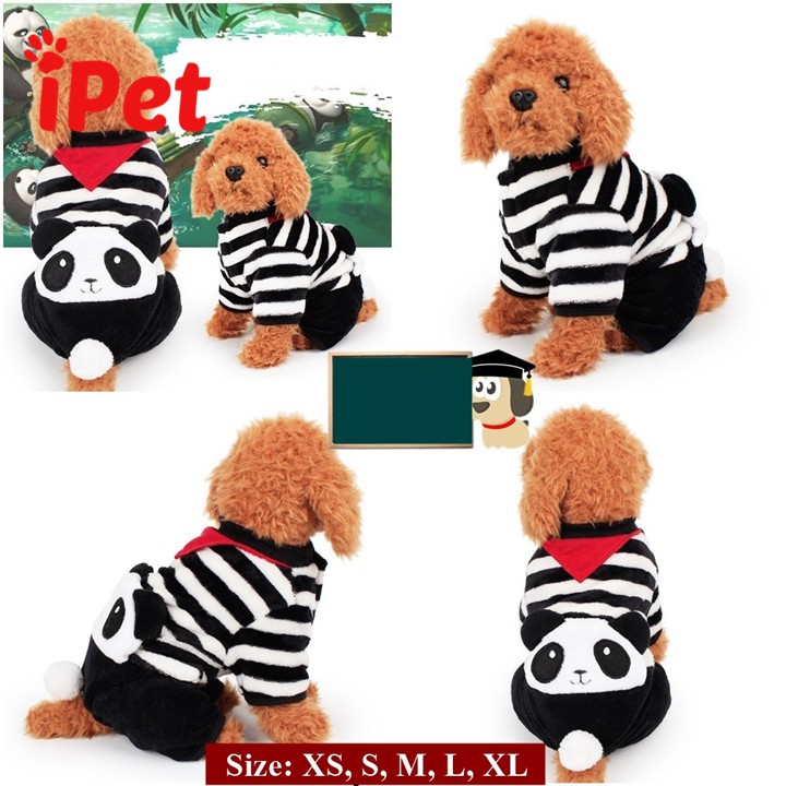 Bộ Quần Áo Chó Mèo Gấu Panda - iPet Shop