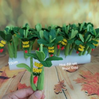 20 BỤI CHUỐI ĐẤT SÉT SIZE MINI 10cm