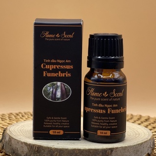 Tinh Dầu Ngọc Am (10ml / 50ml)