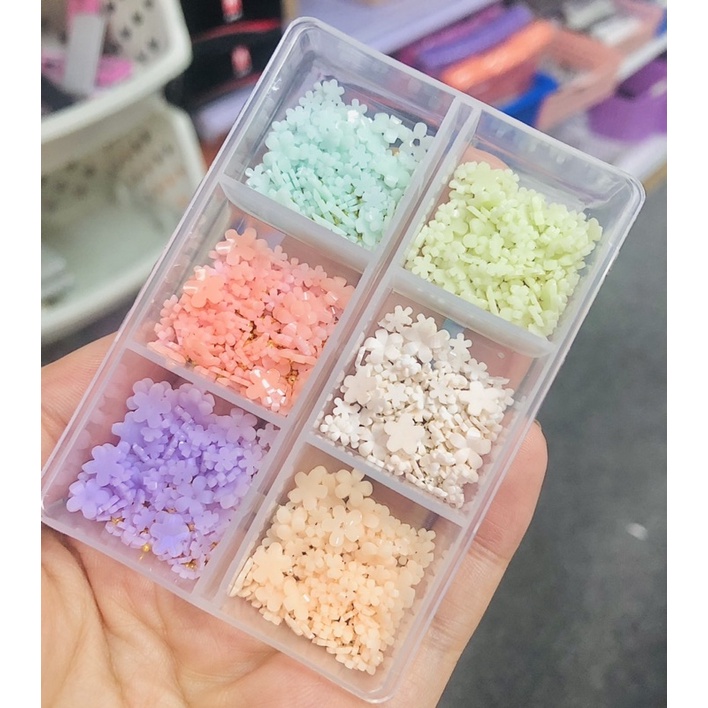 Hoa nhí mix 6 màu Ut Phuong