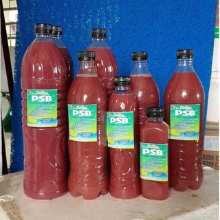 Vi sinh PSB 500ml hồ cá koi, vi sinh làm trong nước, vi sinh tươi, vi khuẩn quang hợp hồ cá koi