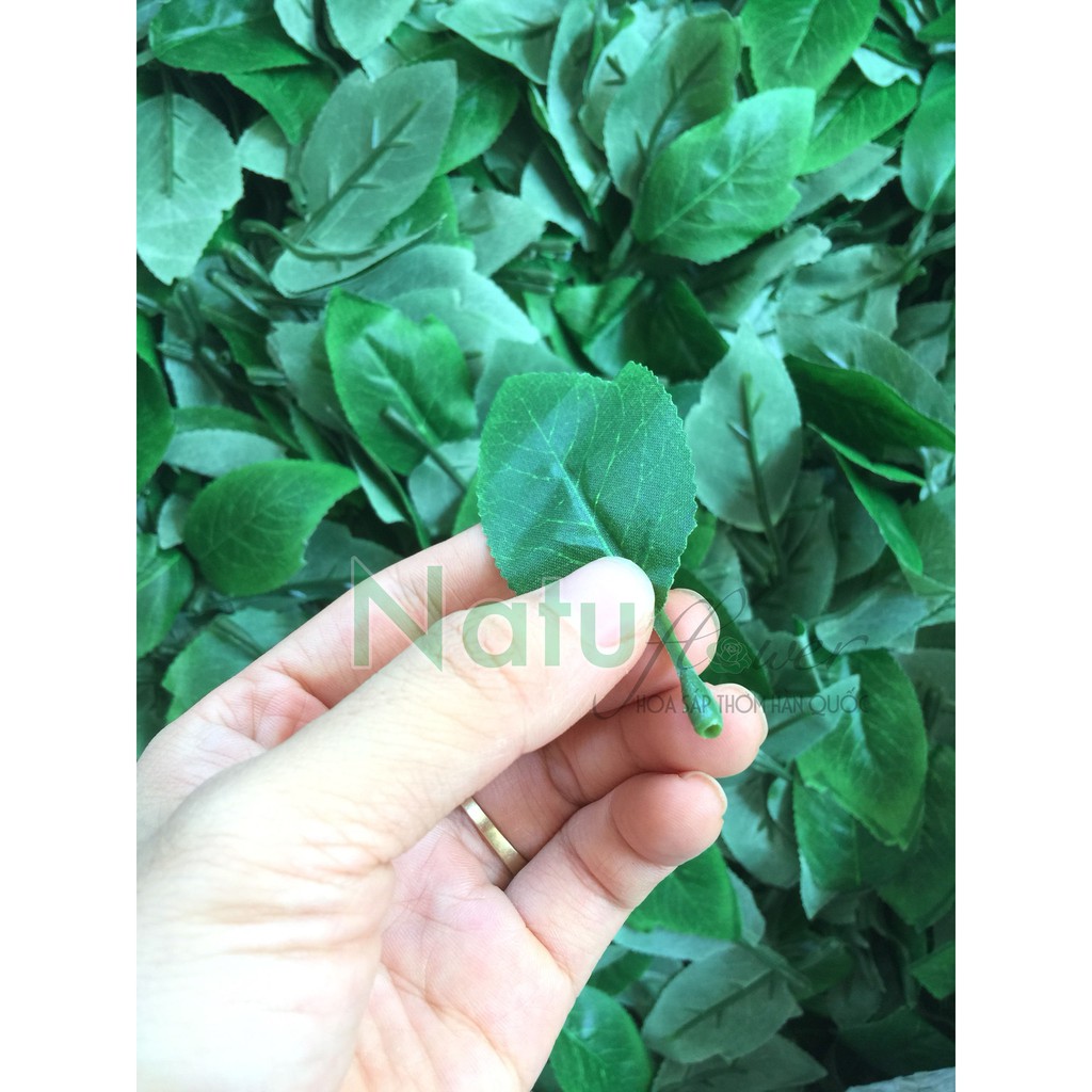 50 Lá hoa hồng giả lá đơn