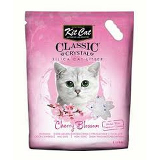 🐾🐾 Cát thủy tinh KitCat🐾🐾