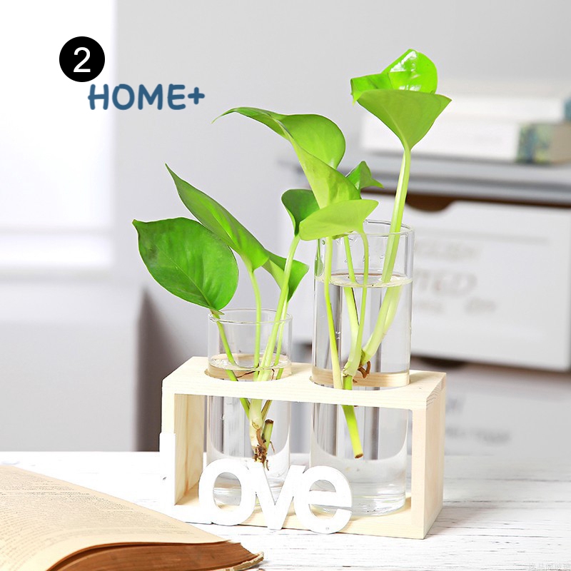 Đế gỗ cho lọ hoa thủy canh trang trí xinh xắn