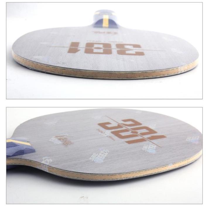 Cốt Vợt Bóng Bàn DHS 301