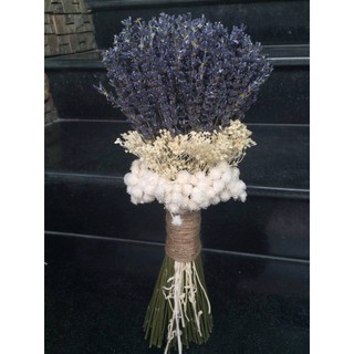 HOA LAVENDER NHẬP KHẨU PHÁP