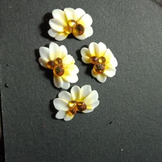 Hoa bột ngành nail