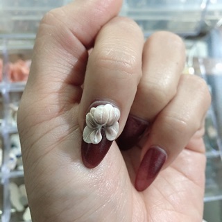 Hoa bột nail rẻ đẹp   Hoa bột nail rẻ đẹp   Hoa bột nail rẻ đẹp   Hoa bột nail rẻ đẹp   Hoa bột nail rẻ đẹp