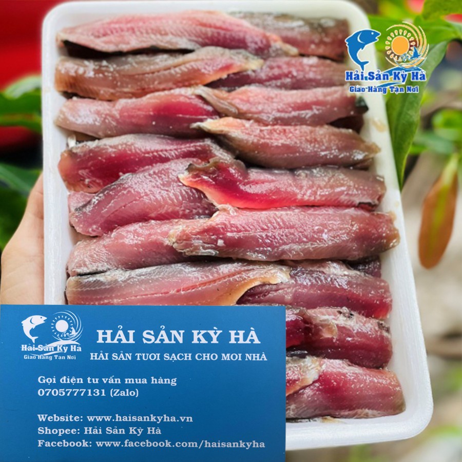 Giá Sỉ - Cá Trích Phile - Q12