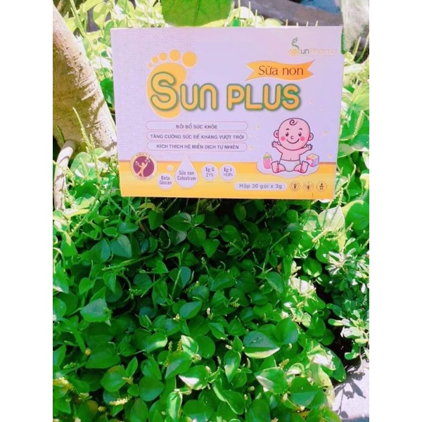 Sữa non Sunplus 15 gói