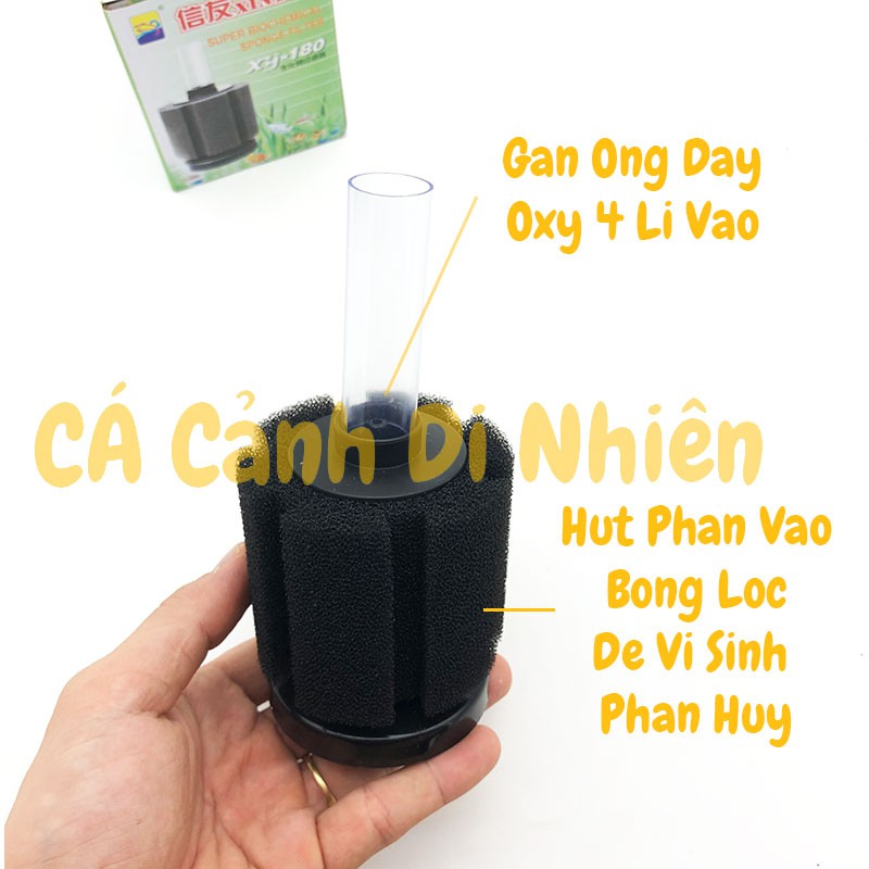 Lọc sủi vi sinh bio size nhỏ XY-180 cho hồ cá cảnh