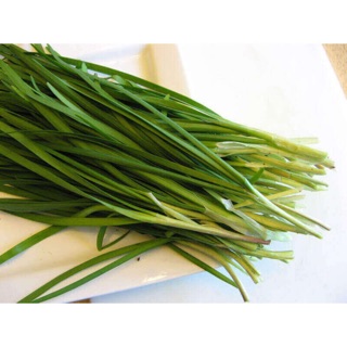 1GR - HẠT GIỐNG CÂY HẸ