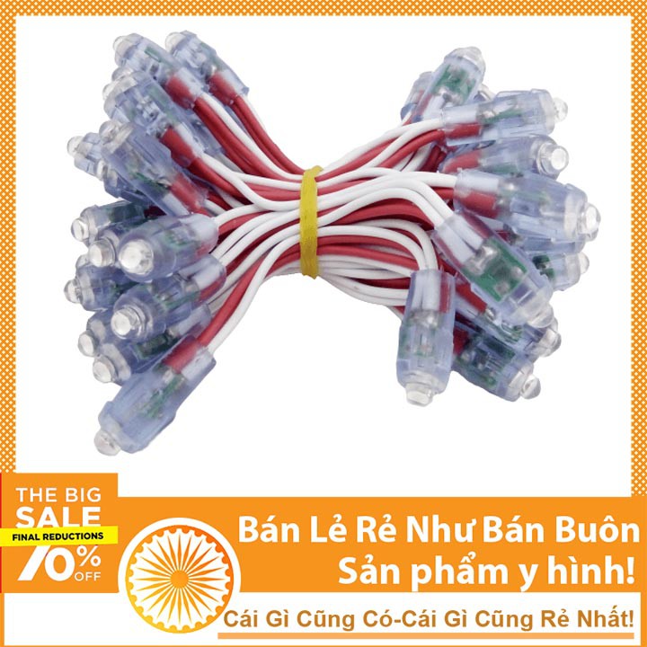 Dây 50 Led Đúc F5 - Bóng LED 10mm Đế 8mm Chống Nước Các Loại Màu DHCNHN