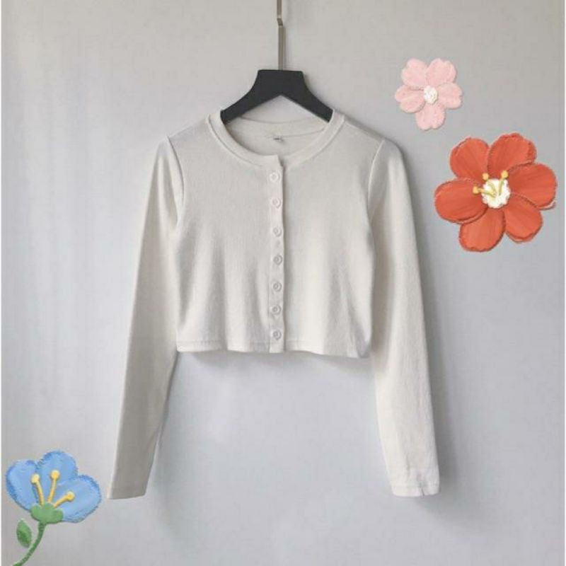 Áo Croptop YAN Tay Dài Nữ ENTYTY shop