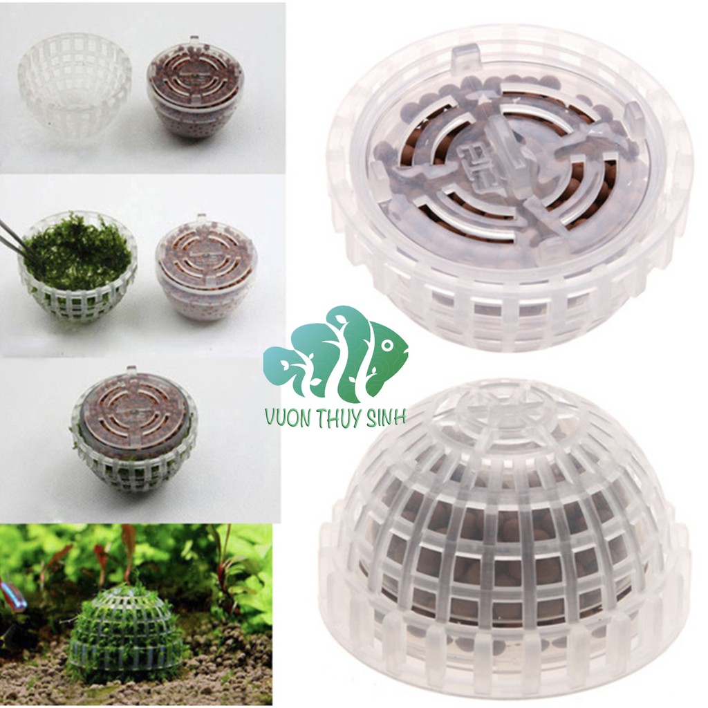 Quả cầu nhựa buộc  rêu chứa khoáng tép BEEBALL trang trí bể cá
