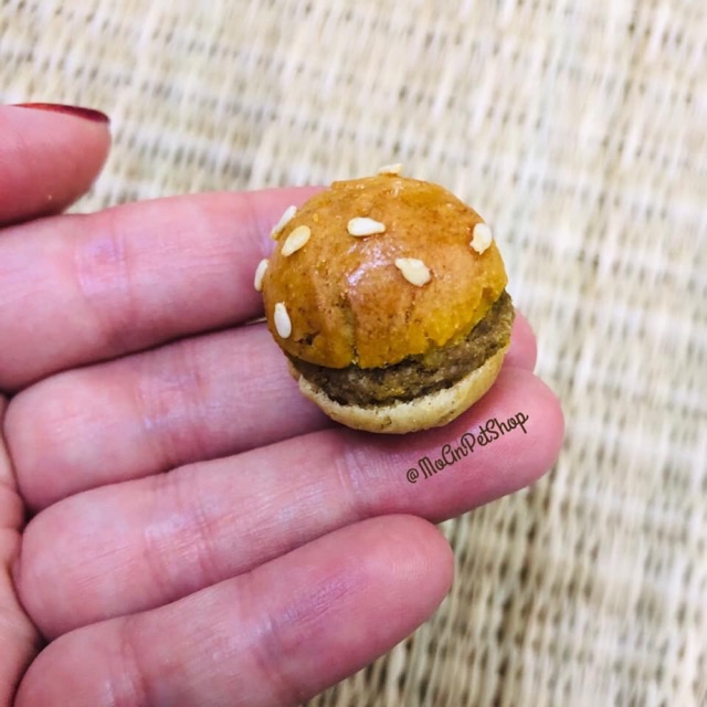 Bánh burger homemade cho thú cưng