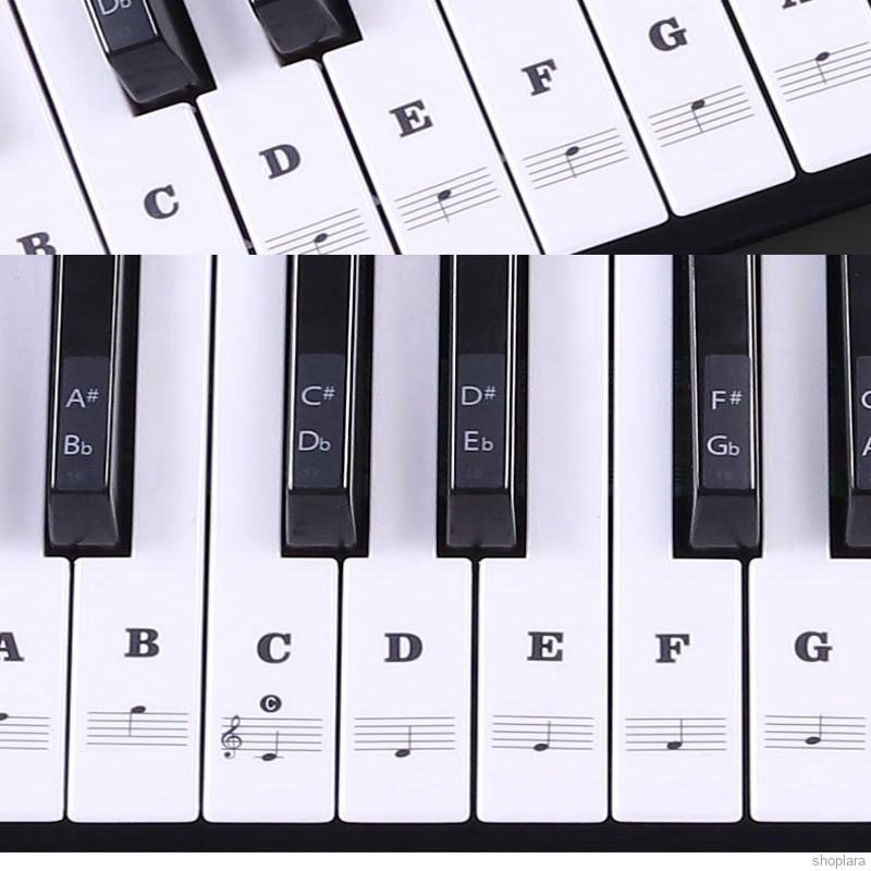 Sticker dán phím đàn Piano / Organ cho người mới học và trẻ em