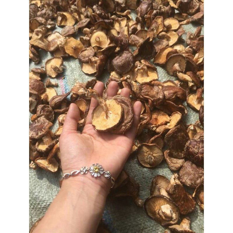 Sỉ giá gốc nấm hương rừng 500g - 1kg