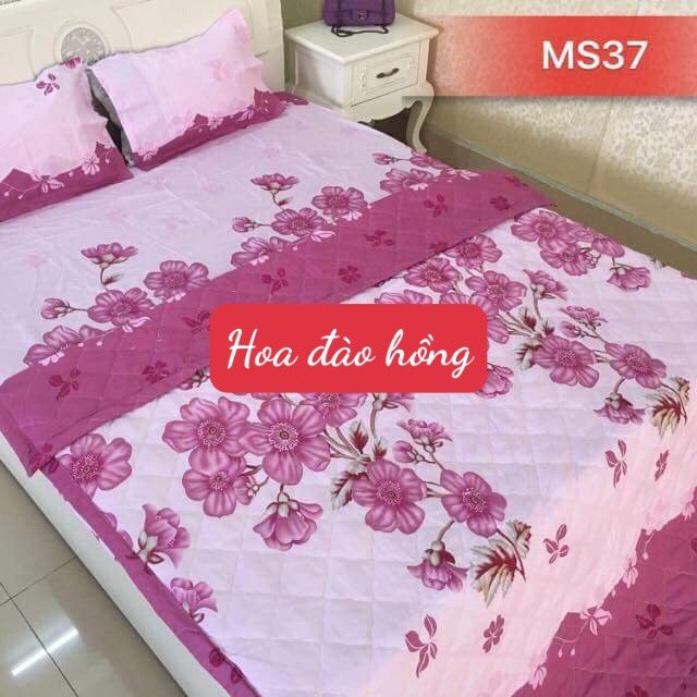 Bộ Ga Gối bo chun Coton poly Hàn Quốc nhiều họa tiết, kích thước khác nhau 1m6x2m,1m8x2m (Hoa hướng dương)