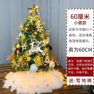 Cây thông noel