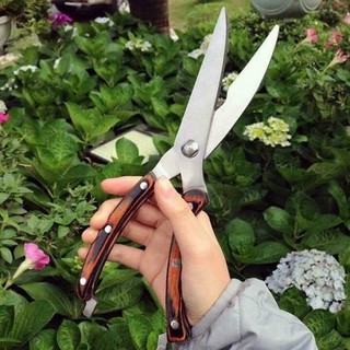 Kéo cắt Thịt Gà Nhật Bản
