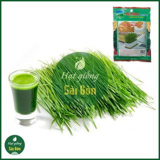 Hạt Giống Cỏ Lúa Mì 100gr - Hạt Giống Mầm Lúa Mạch Dễ Nảy Mầm