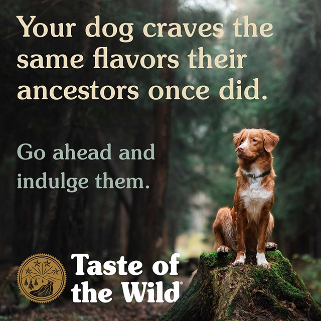 [Nhập Khẩu USA] Thức Ăn Cho Chó Husky Taste Of The Wild Bao 500g -  Southwest Canyon Thịt Heo Rừng, Trái Cây Rau Củ Quả