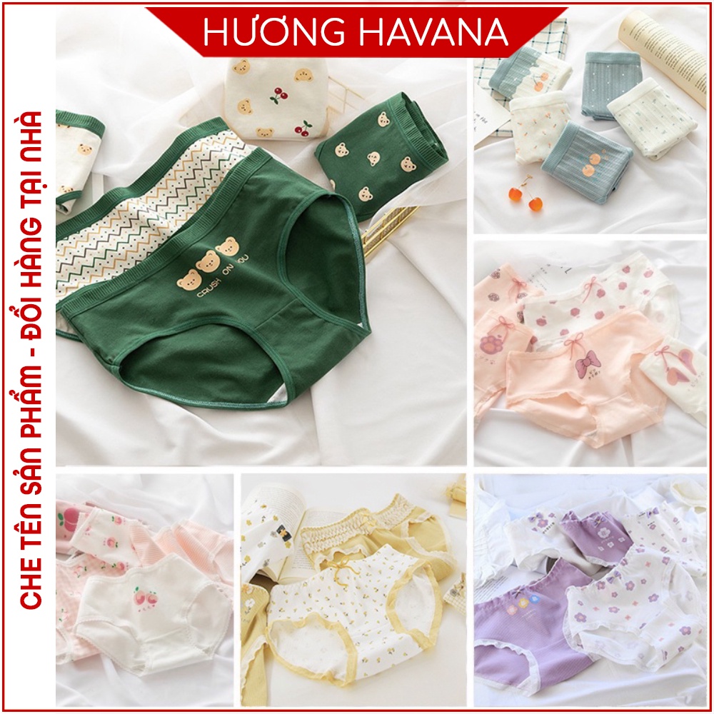 SET 5 Quần Lót Cotton Kháng Khuẩn Thông Hơi Hoạ Tiết Cute Dễ Thương Havana FLQ92