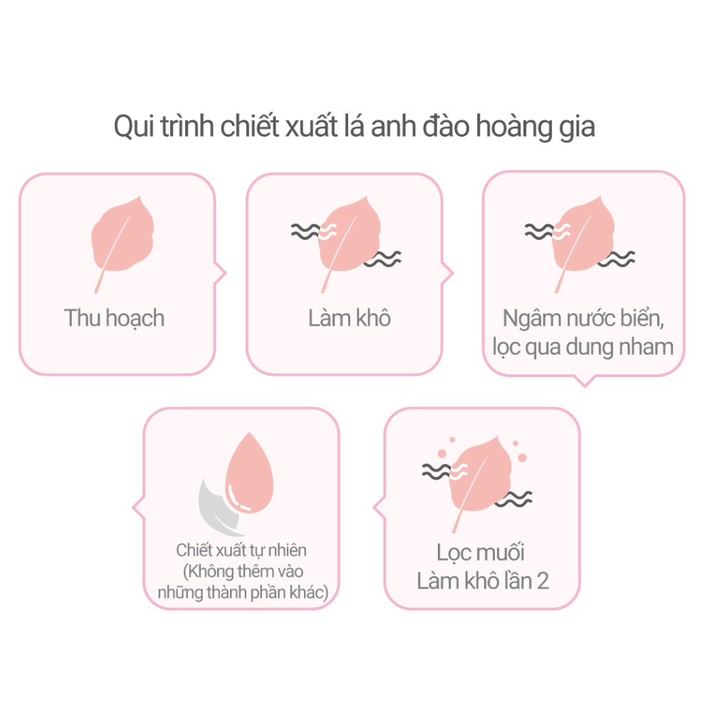 Gel dưỡng ẩm sáng da từ hoa anh đào đảo Jeju innisfree Cherry Blossom Jelly Cream 50ml | BigBuy360 - bigbuy360.vn