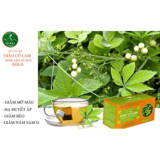 Trà túi lọc Giảo Cổ Lam