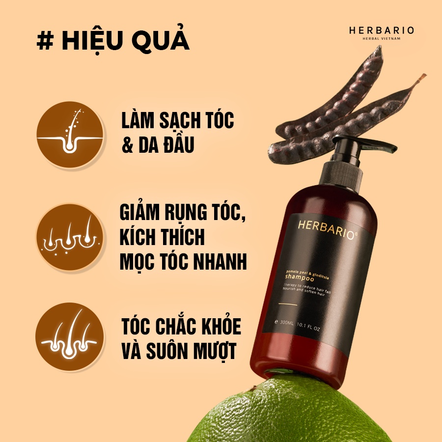 Combo Dầu Gội Bưởi và bồ kết 300ml và Kem ủ tóc Herbario 200ml