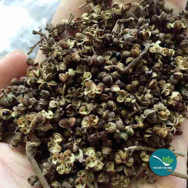 Hạt Mắc Khén 1kg - TM119