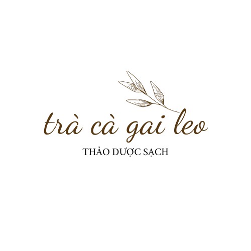 Trà túi lọc cà gai leo